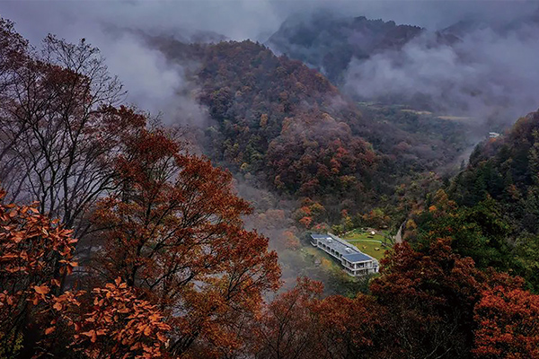 未标题-4.jpg