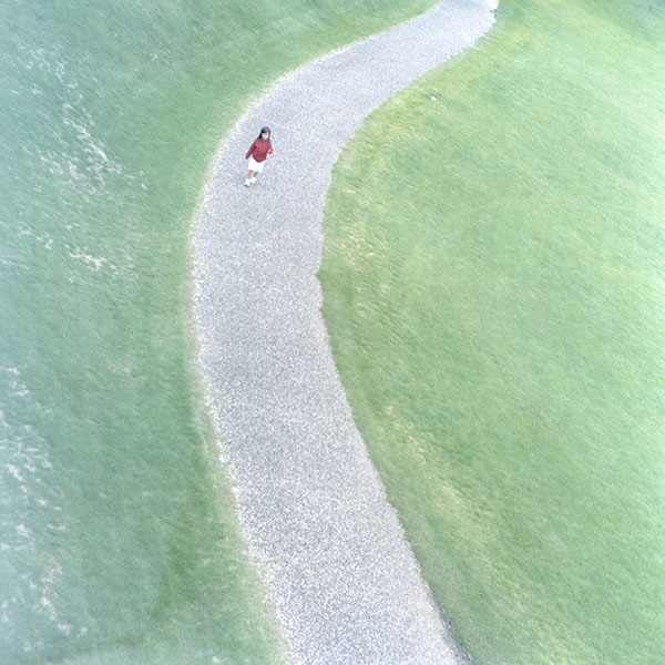 无题,+选自《连结》系列,+2015,+©️川内伦子，图片来源：Christophe+Guye+Galerie（苏黎世）.jpg