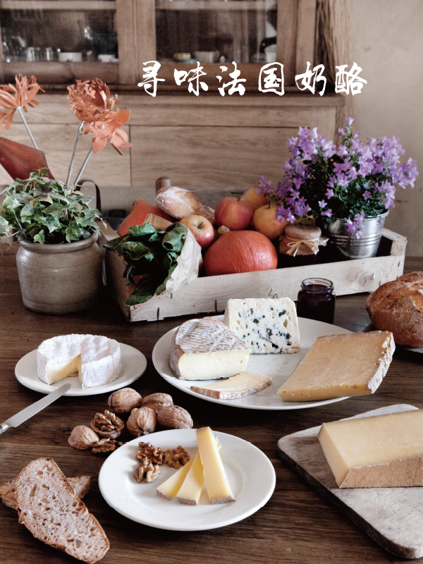 未标题-1.jpg