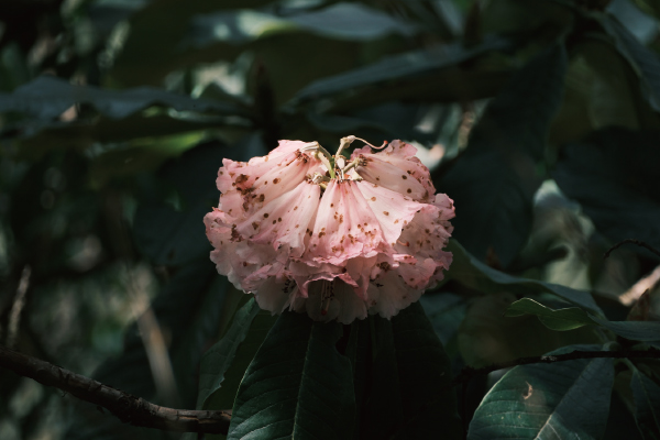 未标题-4.jpg