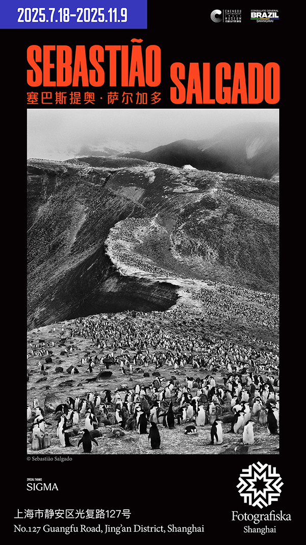Salgado Poster.jpg