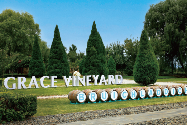 未标题-7.jpg 未标题-7.jpg