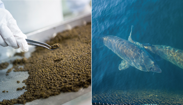 未标题-2.jpg 未标题-2.jpg