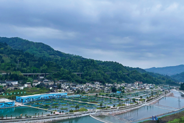 未标题-4.jpg 未标题-4.jpg