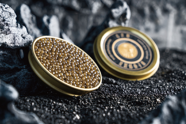 未标题-5.jpg 未标题-5.jpg