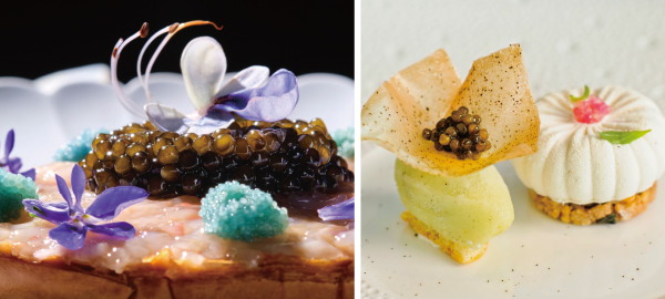 未标题-6.jpg 未标题-6.jpg