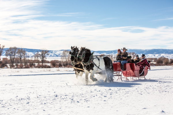 未标题-3.jpg 未标题-3.jpg