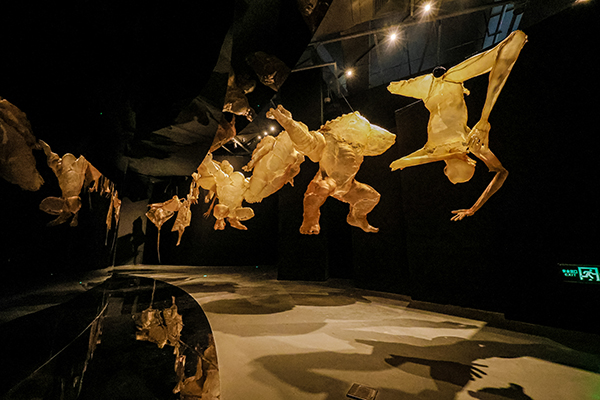 2R0A4990.jpg 2R0A4990.jpg