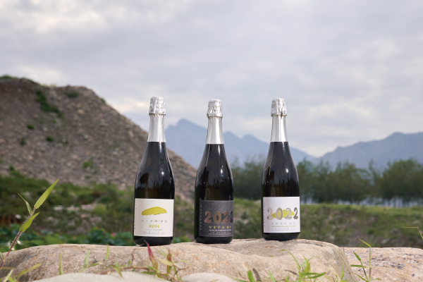 未标题-4.jpg 未标题-4.jpg