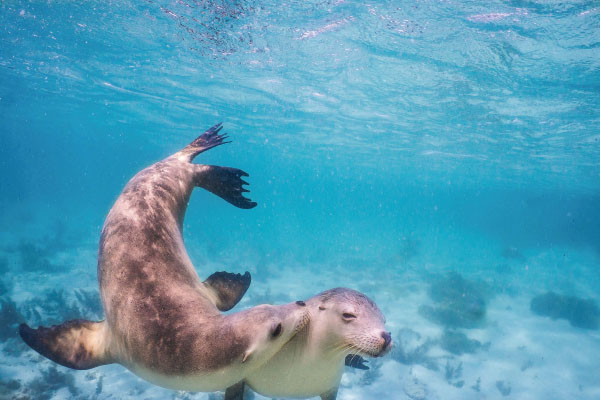 未标题-5.jpg 未标题-5.jpg