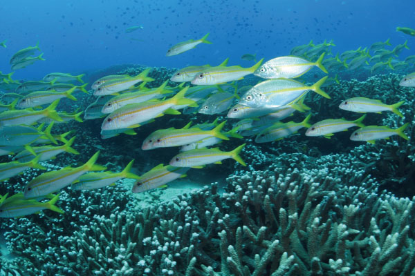 未标题-3.jpg 未标题-3.jpg