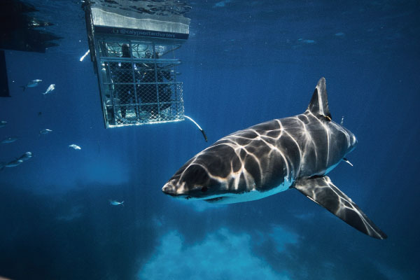 未标题-4.jpg 未标题-4.jpg