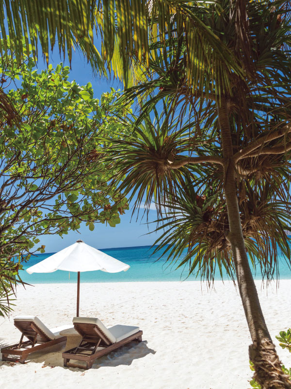 未标题-11.jpg 未标题-11.jpg