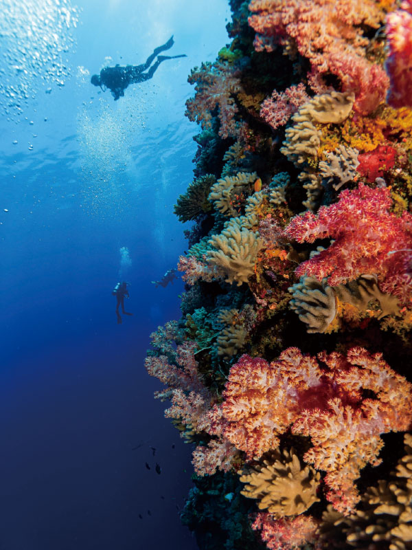 未标题-2.jpg 未标题-2.jpg