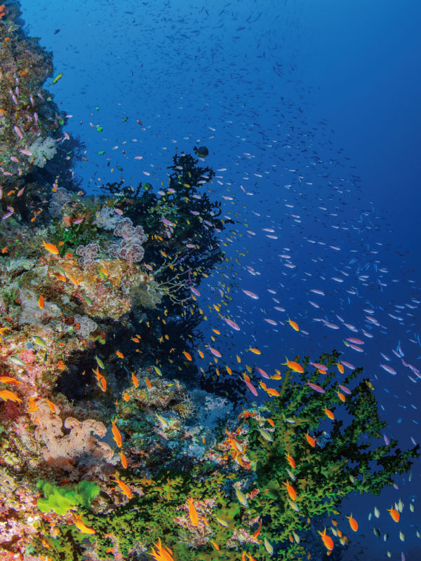 未标题-7.jpg 未标题-7.jpg