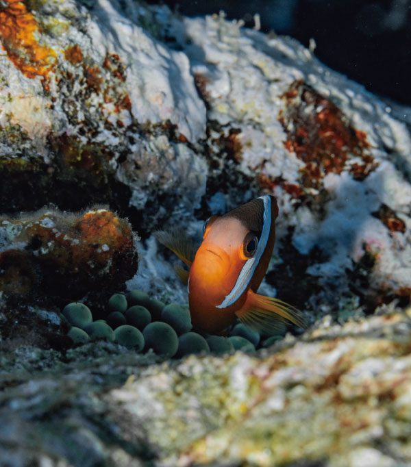 未标题-6.jpg 未标题-6.jpg