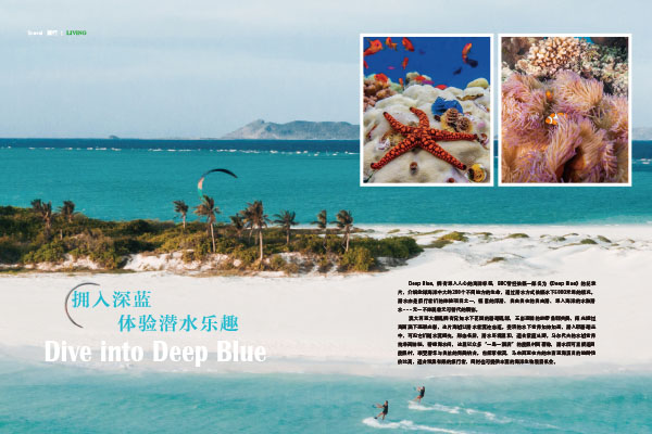 未标题-1.jpg 未标题-1.jpg