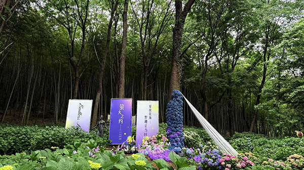 本次活动主舞台.jpg