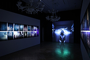 ART SHANGHAI 欧洲国家珍藏展 「摩登：交错的世界」