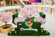 上海恒隆广场“Full Bloom浮光春醒”全球首发村上隆Ohana Hatake限时沉浸式花园