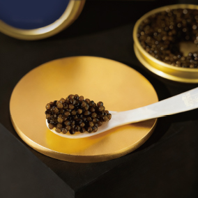 鱼子酱味觉之旅