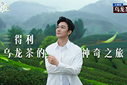 央视网探访三得利乌龙茶：解码一瓶好茶背后的品质坚守