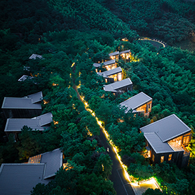 夏夜花海·萤火之约｜2026美岕夏野生活节浪漫启幕